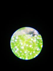 IMG_20220105_203424.jpg
