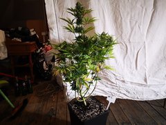 IMG_20220106_203120.jpg