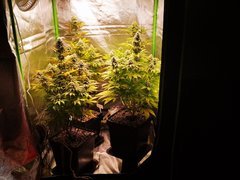 IMG_20220106_211439.jpg