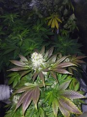 IMG_20220118_183100.jpg