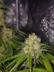 IMG_20220118_183157.jpg