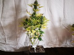 IMG_20220118_195646.jpg