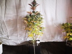 IMG_20220118_200035.jpg