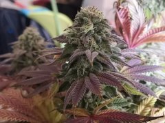 IMG_20220121_201844.jpg