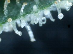 WIN_20220124_14_08_54_Pro.jpg