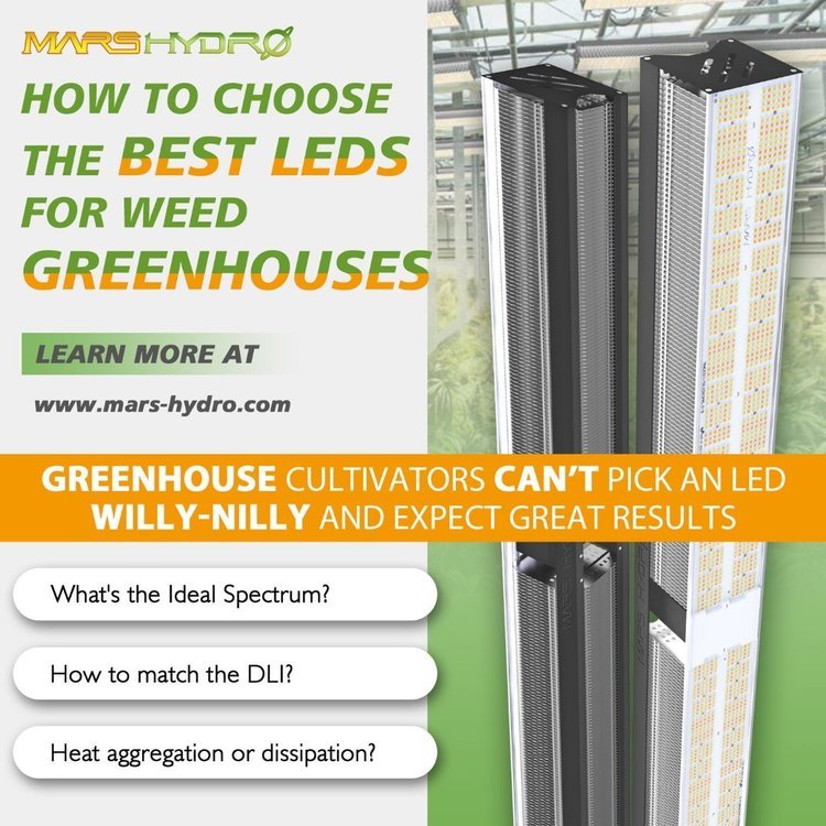 led for wee greenhouse.jpg
