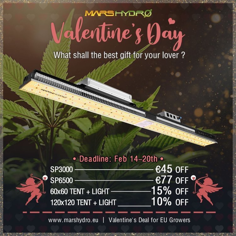 valentines day1.jpg