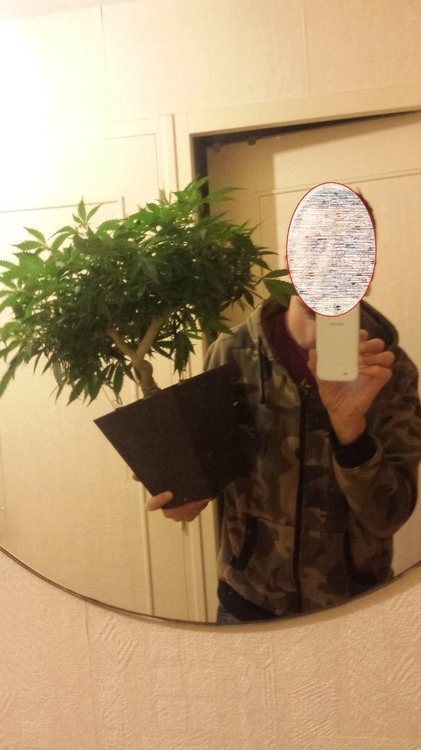 20180220_203714.jpg