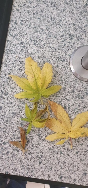 20220220_112145.jpg