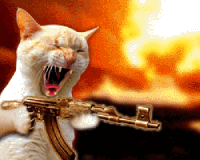 3p4oe5nb.gif.ad1cad7d2f1f220d15e85b77a7c28745.gif