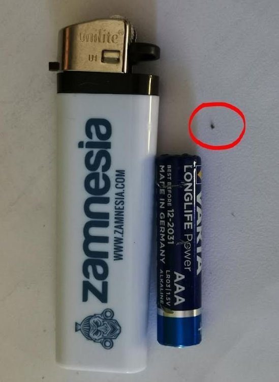 5.JPG