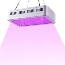 cyj-600w-led-horticole-roleadro-lampe-pour-plante.jpg.320d2e7b28fe775a0cb436aca472a6ef.jpg