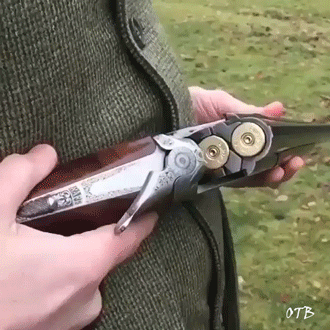 fusil_de_chasse_bref_j_avais_tire_un_coup.gif.10d45bf103671b211ddf84f188a61d8c.gif