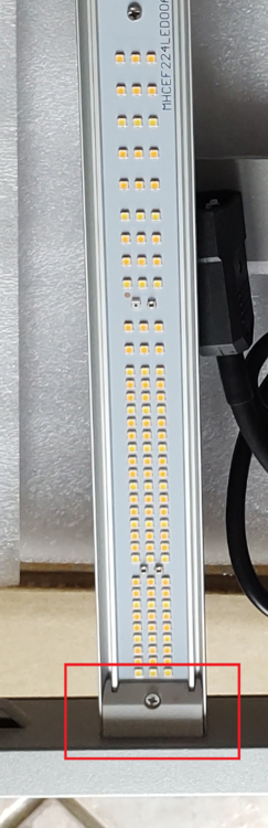 image.thumb.png.a851ee73344ca21734a6444103a56a62.png
