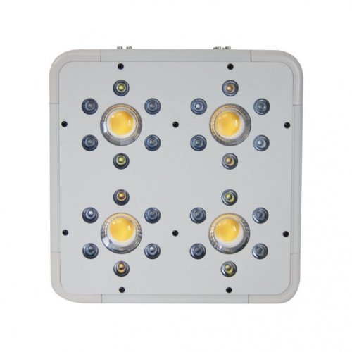 led-hps-killer-indoorled-120w.jpg.4c16b920217e1f68390323992673bf38.jpg