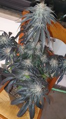 20220204_212001.jpg