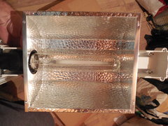 DSCN6075.JPG