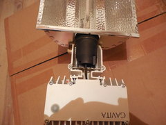 DSCN6076.JPG