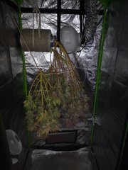 IMG_20220129_214606.jpg