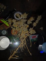 IMG_20220209_175144