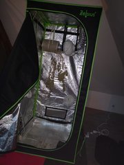 IMG_20220209_175152.jpg