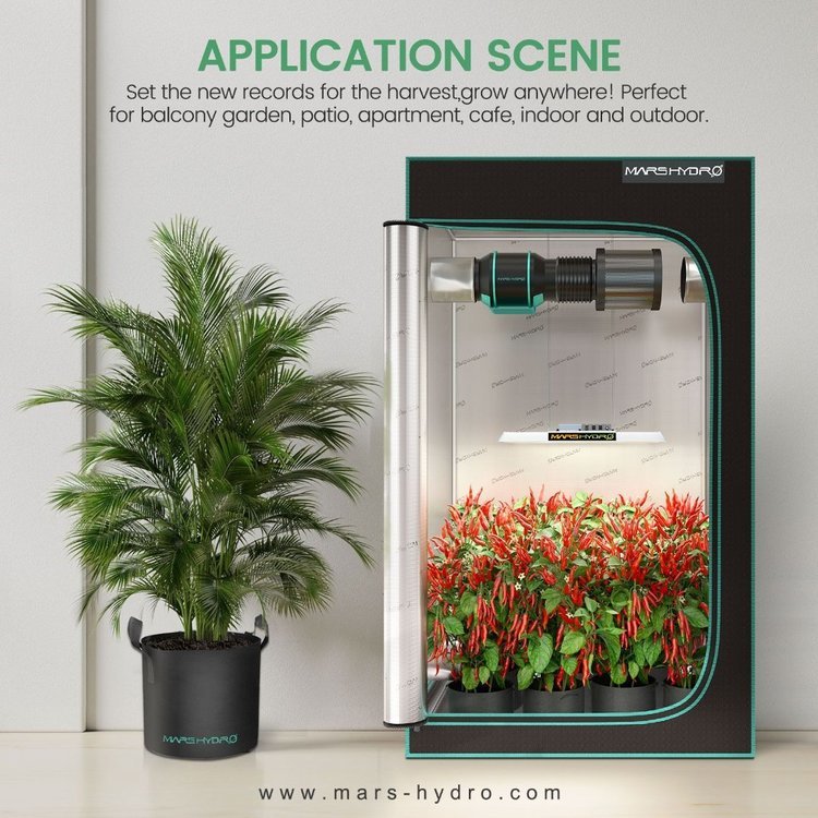 grow bag1.jpg