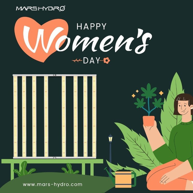 Happy Women's day.jpg