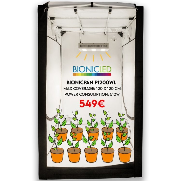 BCL_tiendas_1200WL.jpg