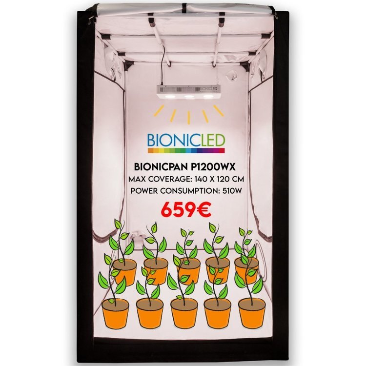 BCL_tiendas_1200WX.jpg