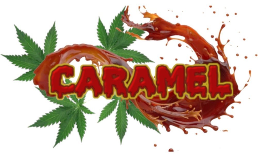 Caramel1.thumb.jpg.09cdb858eaea76327032c6ff41174878.jpg