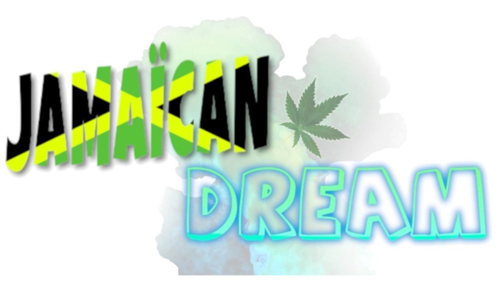 Jamaicandream1.thumb.jpg.1aead8a2cba91681a8c019a7d6f26ff3.jpg