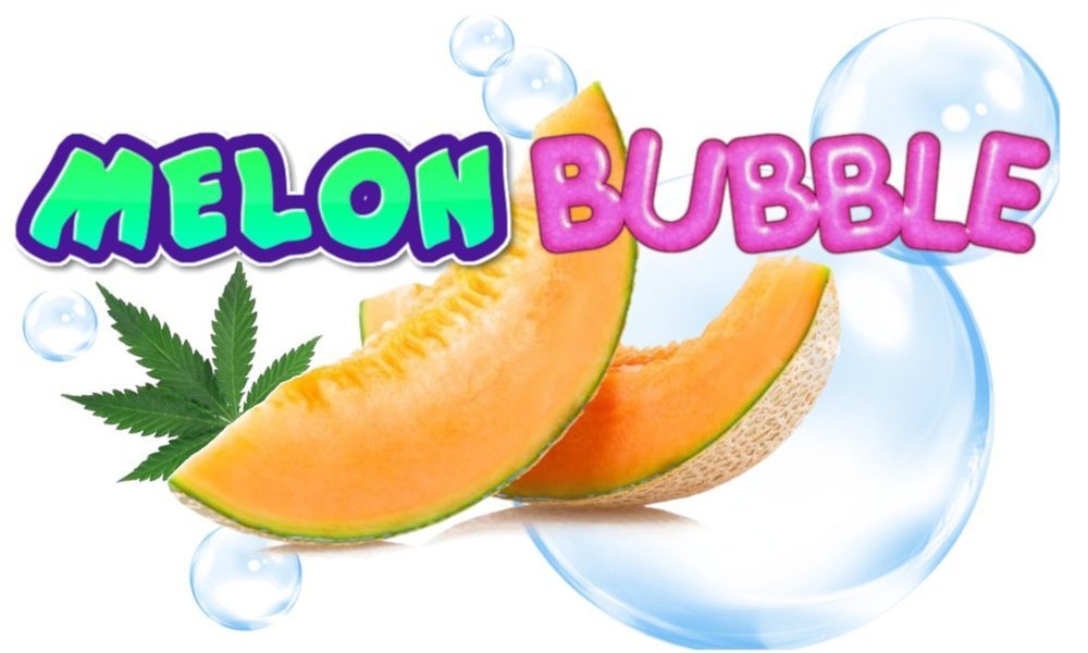 Melonbubble1.thumb.jpg.ee96a74a71859fd661fd2a96fcbc336c.jpg
