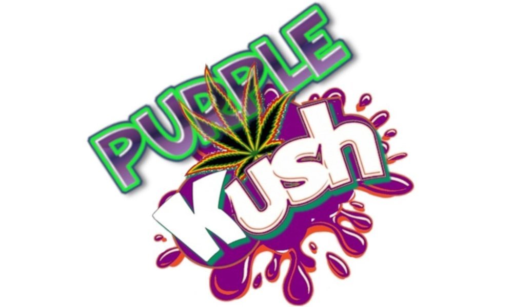 Purplekush11.thumb.jpg.446ce83e1a6db7ed41283d104df48e7b.jpg