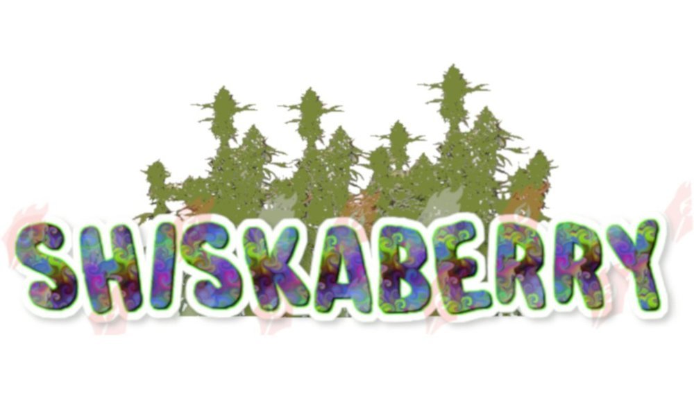 Shiskaberry1.thumb.jpg.681ad684a240ca9d5f35a92260907461.jpg