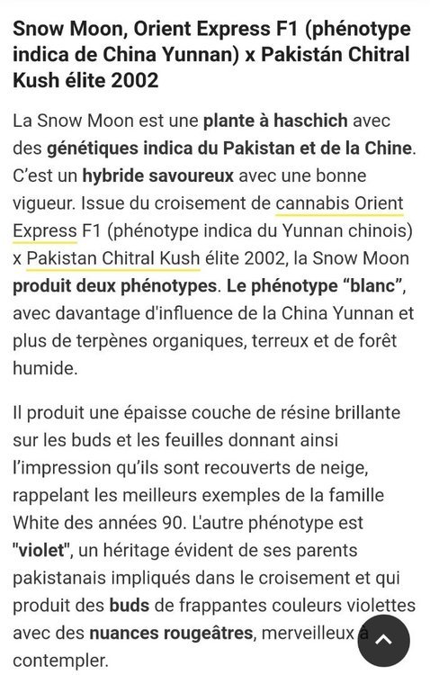 Snowmoon1.thumb.jpg.bfdc52abbe75cd43ba8f1d9afa7b5557.jpg