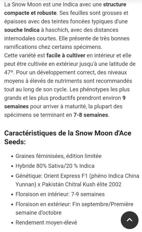Snowmoon2.thumb.jpg.2814e9466286e675d79703c5ed58418e.jpg
