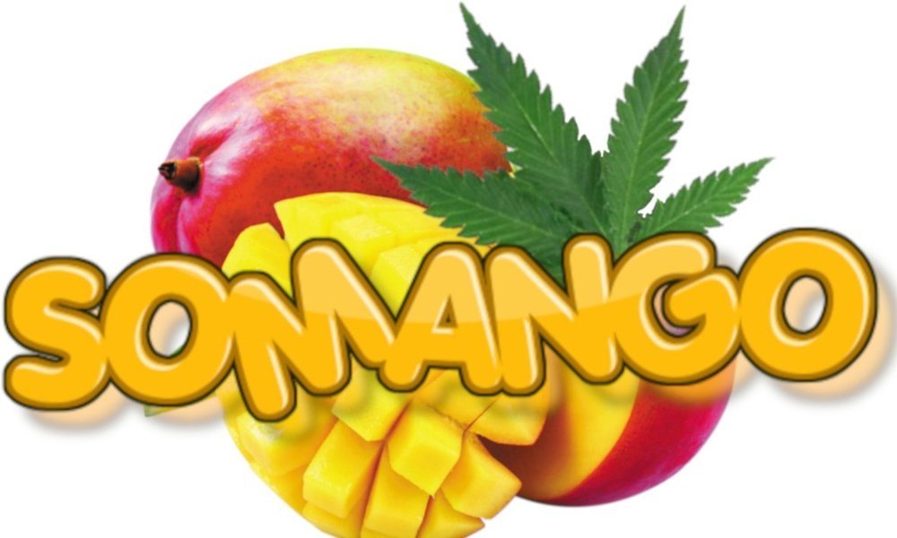 Somango1.thumb.jpg.5562f6f2f6c3120234bd328309ad5d4b.jpg
