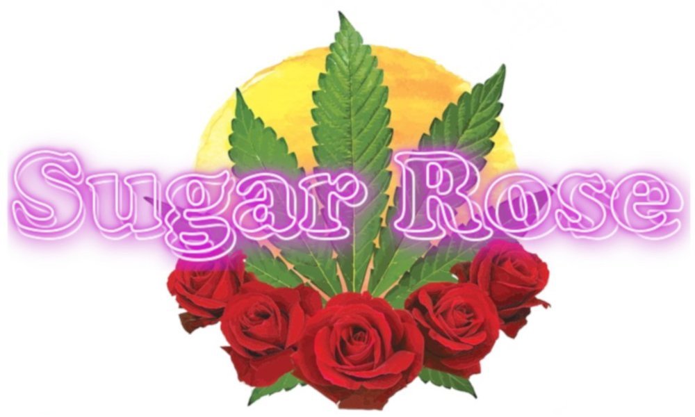 Sugarrose1.thumb.jpg.56245c3a662c869624cf4630b6825a3e.jpg