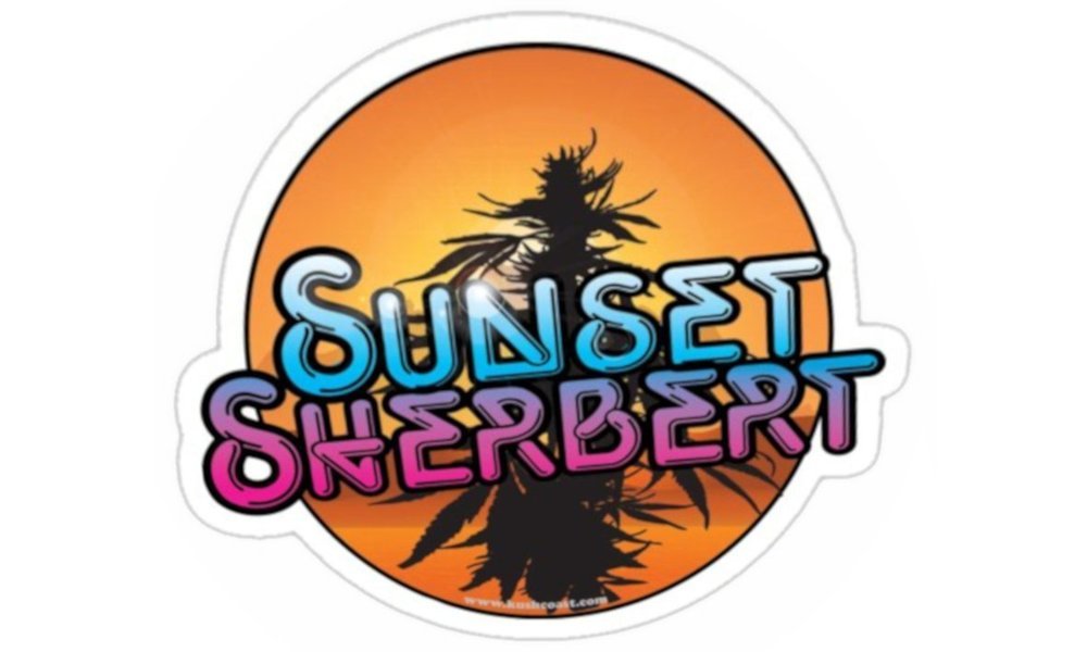 Sunsetsherbert1.thumb.jpg.e5ef7400885269aa199e7f960a46c731.jpg