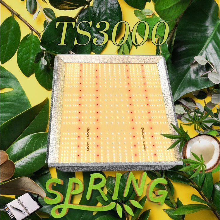 TS-3000.jpg