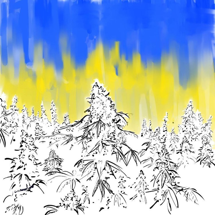 beuhukrainedessin.jpg