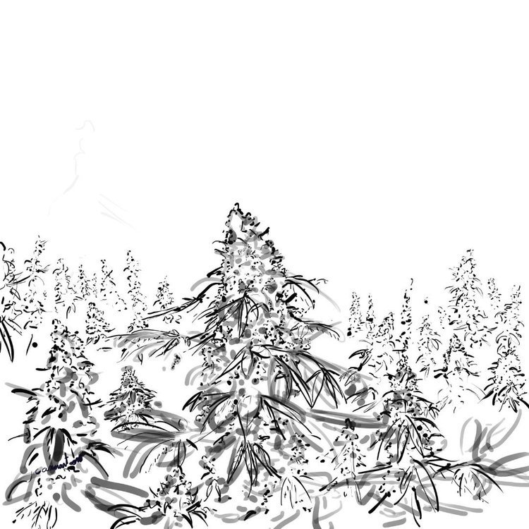 beuhukrainedessin1.jpg