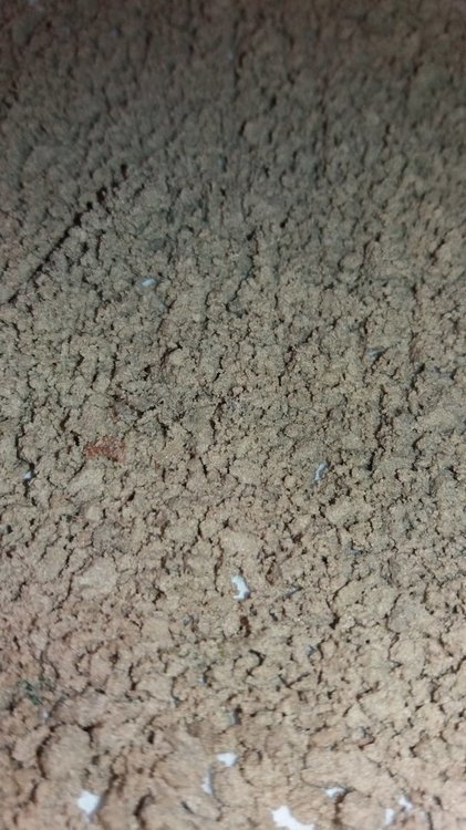 ice-o.thumb.jpg.9b6b6eae00a984f60dea5d4f74971875.jpg