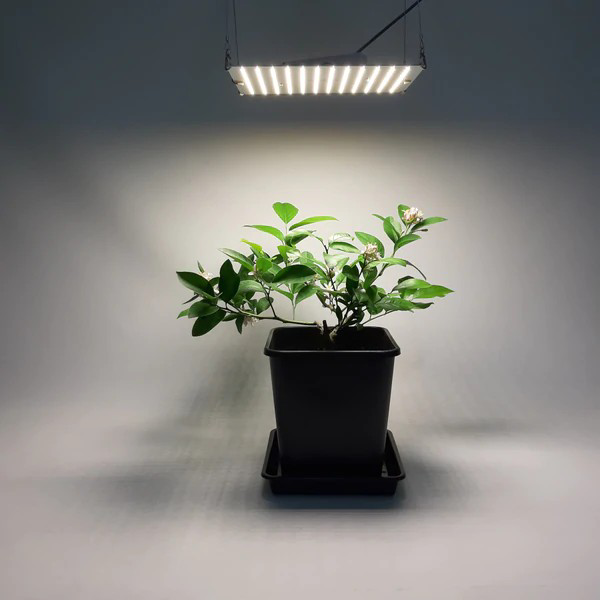 image.png.145d69c59b403d682cf4586b743c5cd5.png