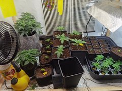 IMG_20220316_164942.jpg