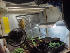 IMG_20220316_164952.jpg