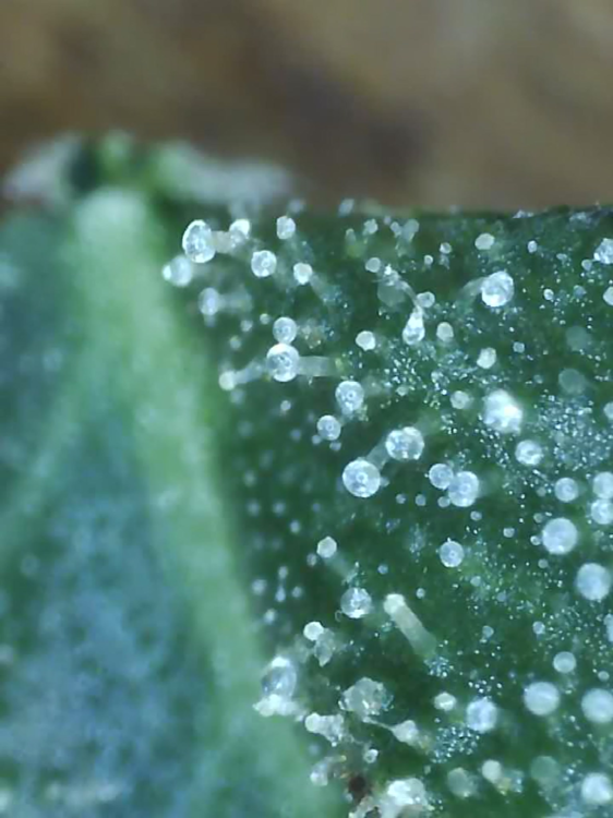 2022_04_01_13_40_09_197.thumb.png.cf0a74e271357e16bdc1d8914732e878.png