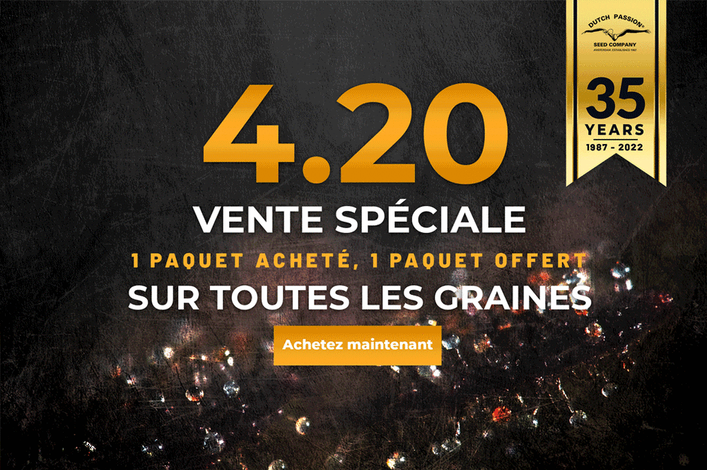 FR_flash_sale.gif