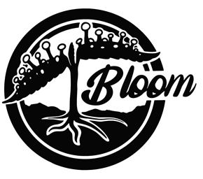 bloom.png.86a55ff46e2c08fcf560ca02fc7918de.png