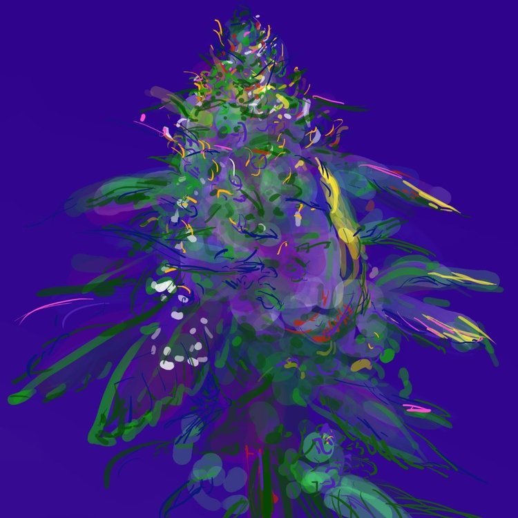 bud2.jpg